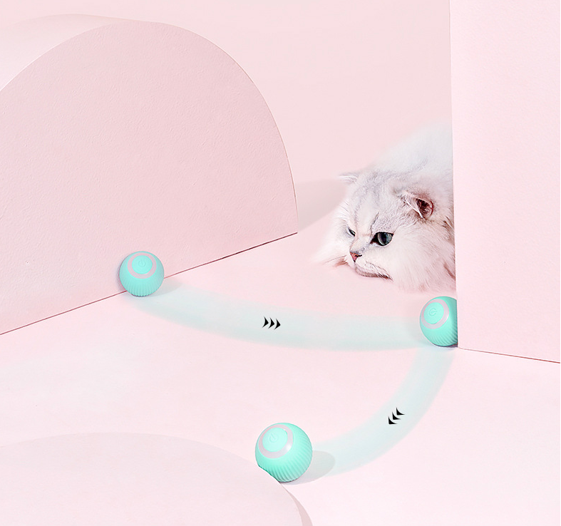 Moving Ball For Cats